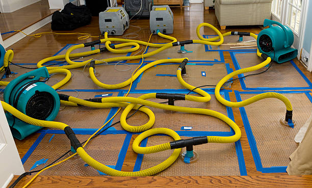 Professional Structural Drying And Dehumidification technician working in Elgin, OK